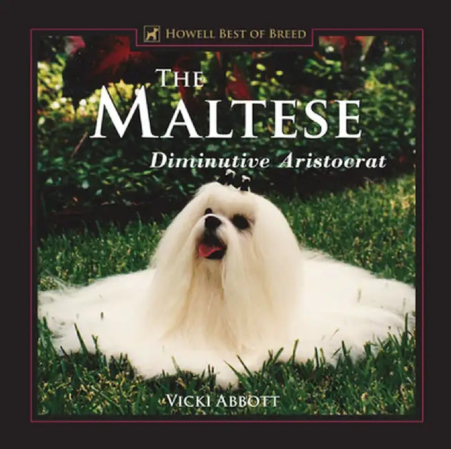 The Maltese: Diminutive Aristocrat by Vicki Abbott