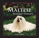 The Maltese: Diminutive Aristocrat by Vicki Abbott