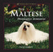 The Maltese: Diminutive Aristocrat by Vicki Abbott
