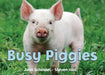 Busy Piggies by John Schindel, Steven Holt