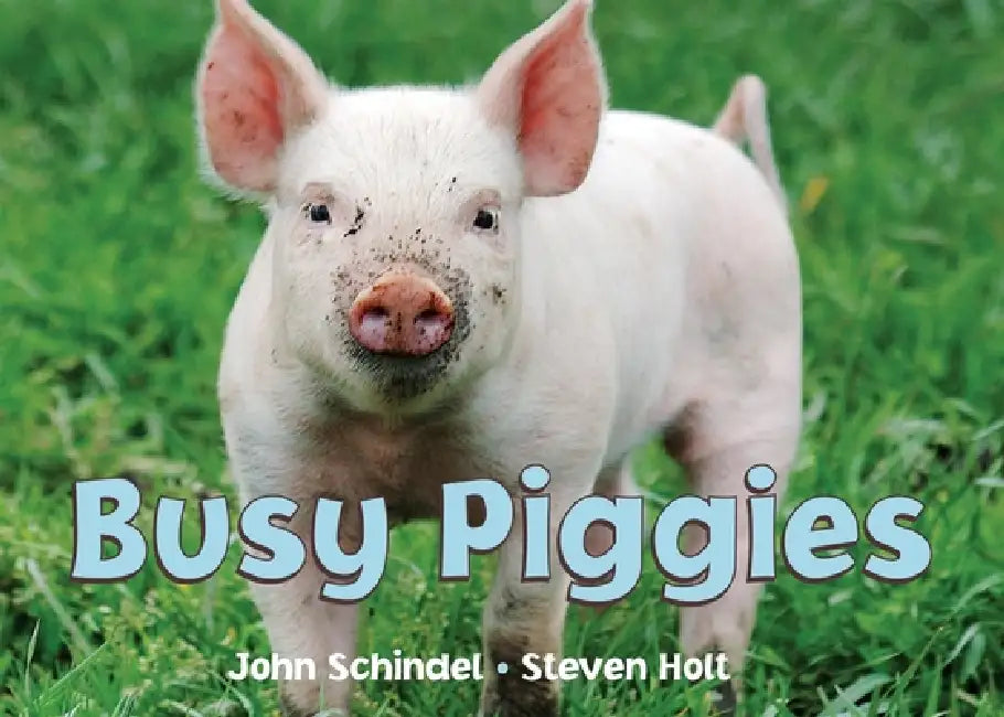 Busy Piggies by John Schindel, Steven Holt