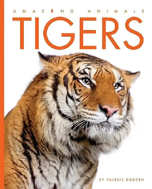 Tigers by Valerie Bodden