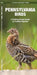 Pennsylvania Birds: A Folding Pocket Guide to Familiar Species by James Kavanagh