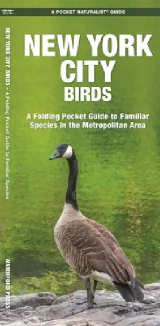 New York City Birds: A Folding Pocket Guide to Familiar Species in the Metropolitan Area by James Kavanagh