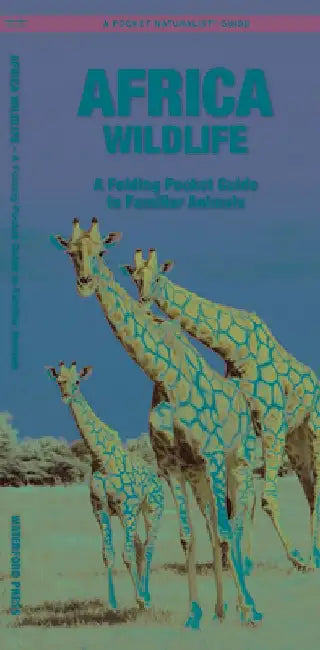 African Wildlife: An Introduction to Familiar Species by James Kavanagh