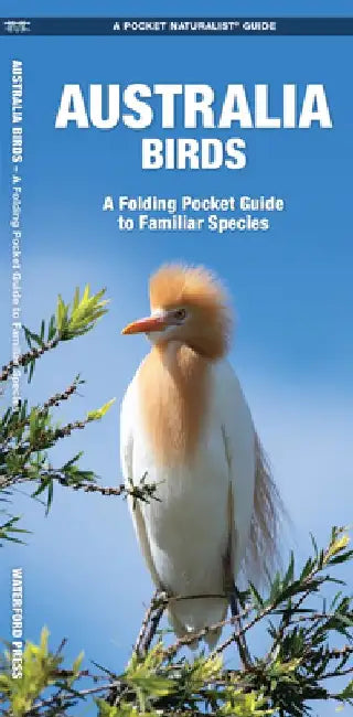 Australia Birds: A Folding Pocket Guide to Familiar Species by James Kavanagh