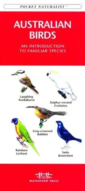 African Animal Tracks: An Introduction to the Tracks & Signs of Familiar Species by James Kavanagh