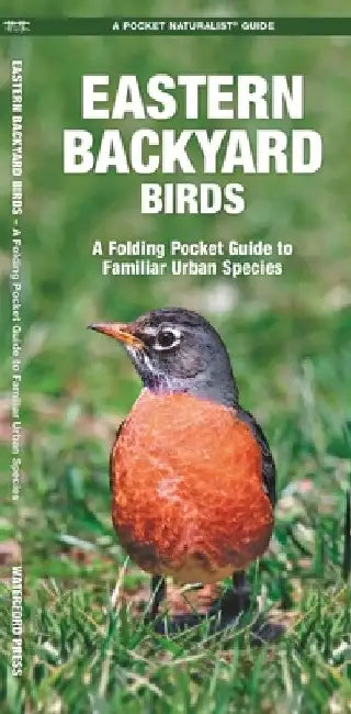 Eastern Backyard Birds: An Introduction to Familiar Urban Species by James Kavanagh