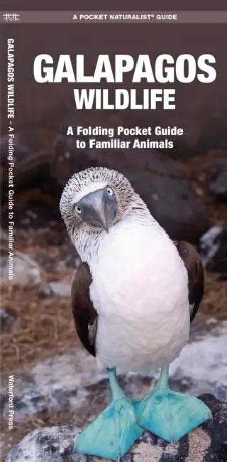 Galapagos Wildlife: An Introduction to Familiar Species by James Kavanagh, Raymond Leung, Waterford Press