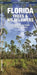 Florida Trees & Wildflowers: A Folding Pocket Guide to Familiar Plants by James Kavanagh