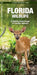 Florida Wildlife: An Introduction to Familiar Species by James Kavanagh