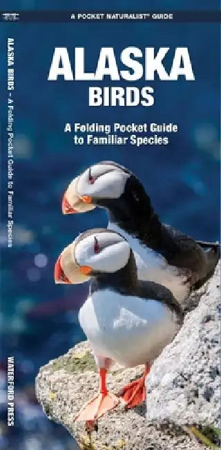 Alaska Birds: A Folding Pocket Guide to Familiar Species by James Kavanagh