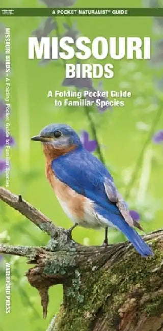 Missouri Birds: A Folding Pocket Guide to Familiar Species by James Kavanagh