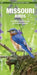 Missouri Birds: A Folding Pocket Guide to Familiar Species by James Kavanagh