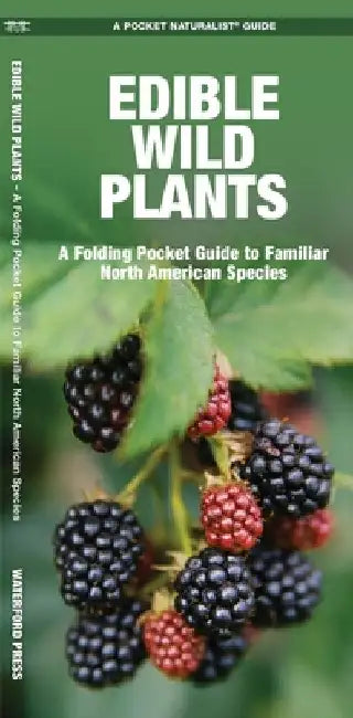 Edible Wild Plants: A Folding Pocket Guide to Familiar North American Species by James Kavanagh