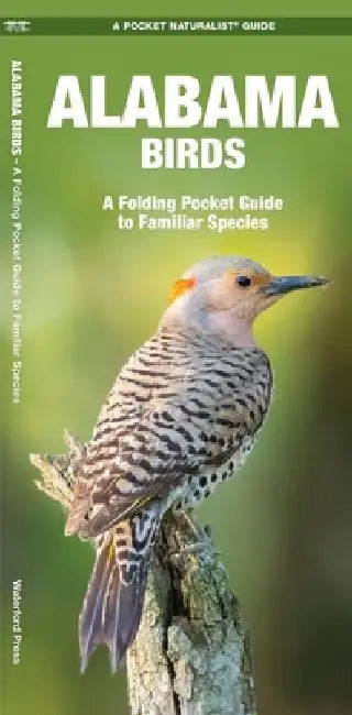 Alabama Birds: An Introduction to Familiar Species by James Kavanagh