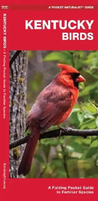 Kentucky Birds: A Folding Pocket Guide to Familiar Species by James Kavanagh
