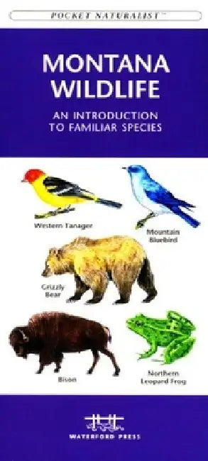 Denali Wildlife: A Folding Pocket Guide to the Wildlife of Denali National Park & Denali State Park by James Kavanagh