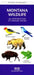 Denali Wildlife: A Folding Pocket Guide to the Wildlife of Denali National Park & Denali State Park by James Kavanagh
