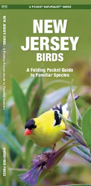 New Jersey Birds: A Folding Pocket Guide to Familiar Species by James Kavanagh