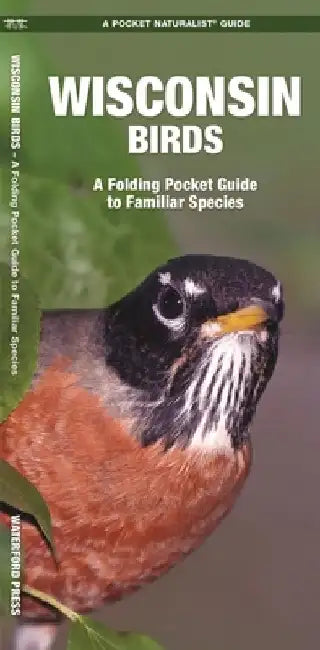 Wisconsin Birds: A Folding Pocket Guide to Familiar Species by James Kavanagh
