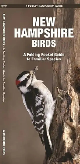 New Hampshire Birds: A Folding Pocket Guide to Familiar Species by James Kavanagh