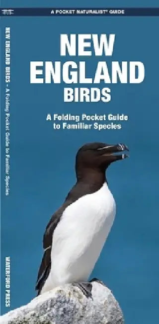 New England Birds: A Folding Pocket Guide to Familiar Species by James Kavanagh