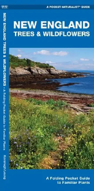 New England Trees & Wildflowers: A Folding Pocket Guide to Familiar Plants by James Kavanagh
