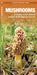 Mushrooms: An Introduction to Familiar North American Species by James Kavanagh
