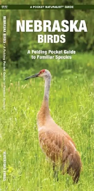 Nebraska Birds: An Introduction to Familiar Species by James Kavanagh