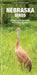 Nebraska Birds: An Introduction to Familiar Species by James Kavanagh