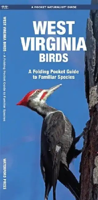 West Virginia Birds: An Introduction to Familiar Species by James Kavanagh