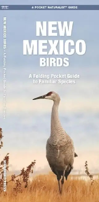 New Mexico Birds: A Folding Pocket Guide to Familiar Species by James Kavanagh