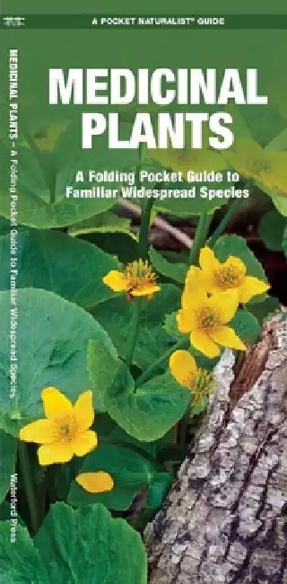 Medicinal Plants: An Introduction to Familiar North American Species by James Kavanagh