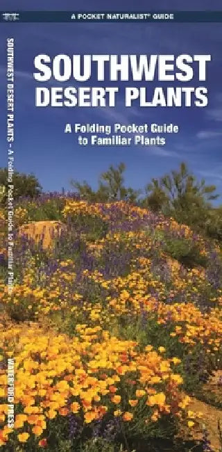 Southwestern Desert Plants: An Introduction to Familiar Species by James Kavanagh