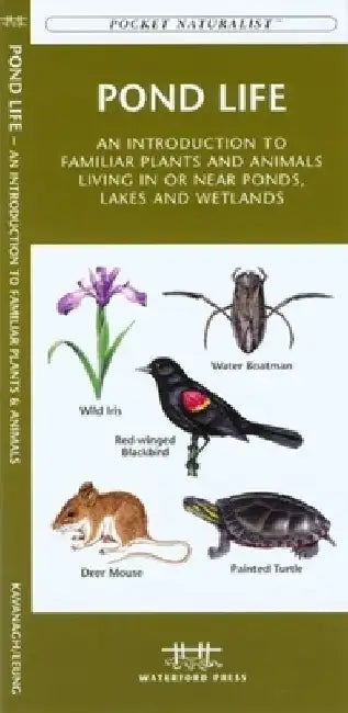 Southern Appalachian Birds: An Introduction to Familliar Species by James Kavanagh