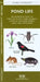 Southern Appalachian Birds: An Introduction to Familliar Species by James Kavanagh
