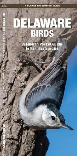 Delaware Birds: A Folding Pocket Guide to Familiar Species by James Kavanagh
