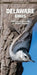 Delaware Birds: A Folding Pocket Guide to Familiar Species by James Kavanagh