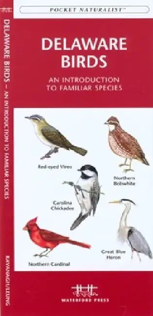 North Dakota Birds: A Folding Pocket Guide to Familiar Species by James Kavanagh