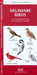 North Dakota Birds: A Folding Pocket Guide to Familiar Species by James Kavanagh