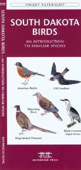 Rhode Island Birds: A Folding Pocket Guide to Familiar Species by James Kavanagh