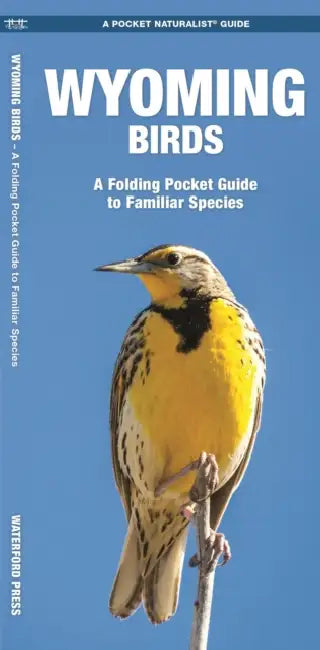 Wyoming Birds: An Introduction to Familiar Species by James/ Leung, Raymond (ILT) Kavanagh