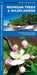 Michigan Trees & Wildflowers: An Introduction to Familiar Species by James Kavanagh