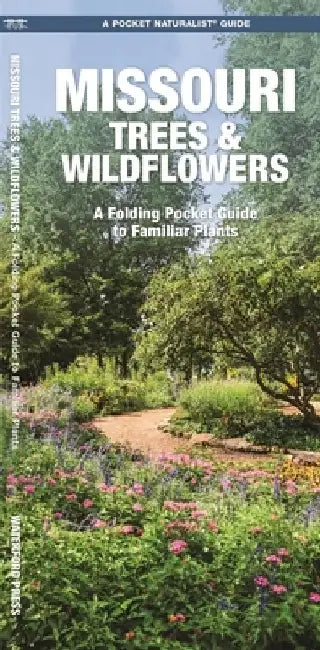 Missouri Trees & Wildflowers: An Introduction to Familiar Species by James Kavanagh