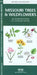 Oklahoma Trees & Wildflowers: An Introduction to Familiar Species by James Kavanagh