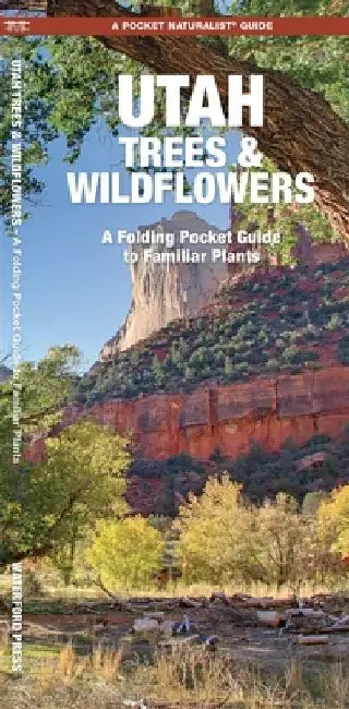 Utah Trees & Wildflowers: A Folding Pocket Guide to Familiar Plants by James Kavanagh