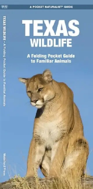 Texas Wildlife: An Introduction to Familiar Species by James Kavanagh