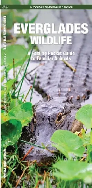 Everglades Wildlife: A Folding Pocket Guide to Familiar Animals by James Kavanagh