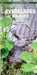Everglades Wildlife: A Folding Pocket Guide to Familiar Animals by James Kavanagh